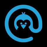 🐧 @all bot