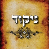 ניקוד טקסט