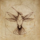 NexusSci Search