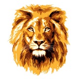 Punjabi Status Quotes