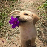 Daily Cute - Cute and responsible G