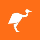 Ostrich