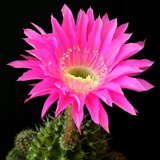 Featured Pictures