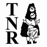 Times New Roman