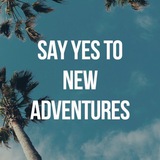 Daily Quotes