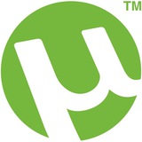 Torrent To File