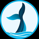 🇪🇸 ballena.io 🐋