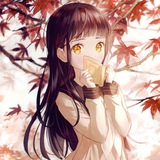 KONEKINHO