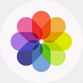 imageColorizer