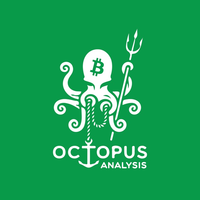 Octopus 🐙 Analysis