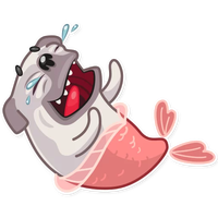 Water Pug