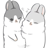 Machiko Rabbit Sk