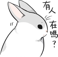 Machiko Rabbit