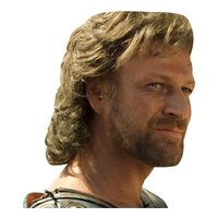 Greek Heroes Of Troy